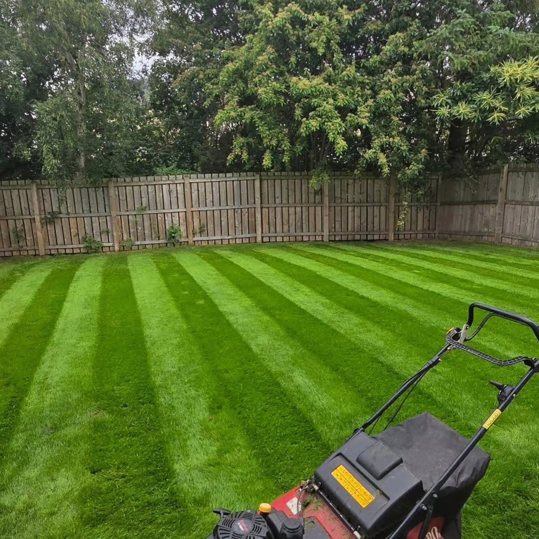 Reviews Freshly laid lawn being mown