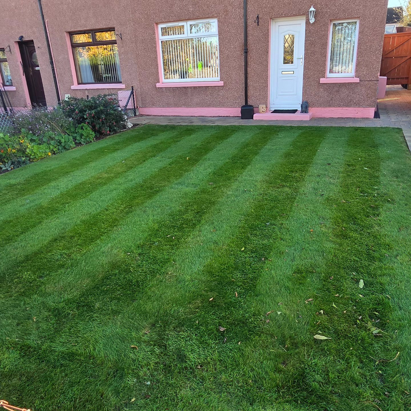 Communal lawn freshly cut with mowing stripes