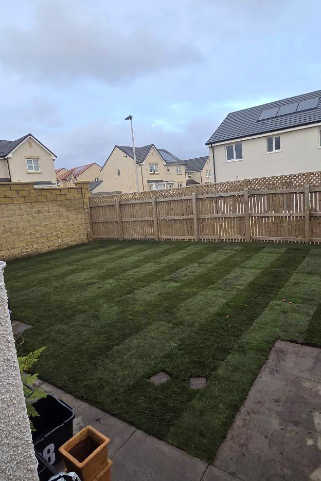 New lawn established in an enclosed rear garden