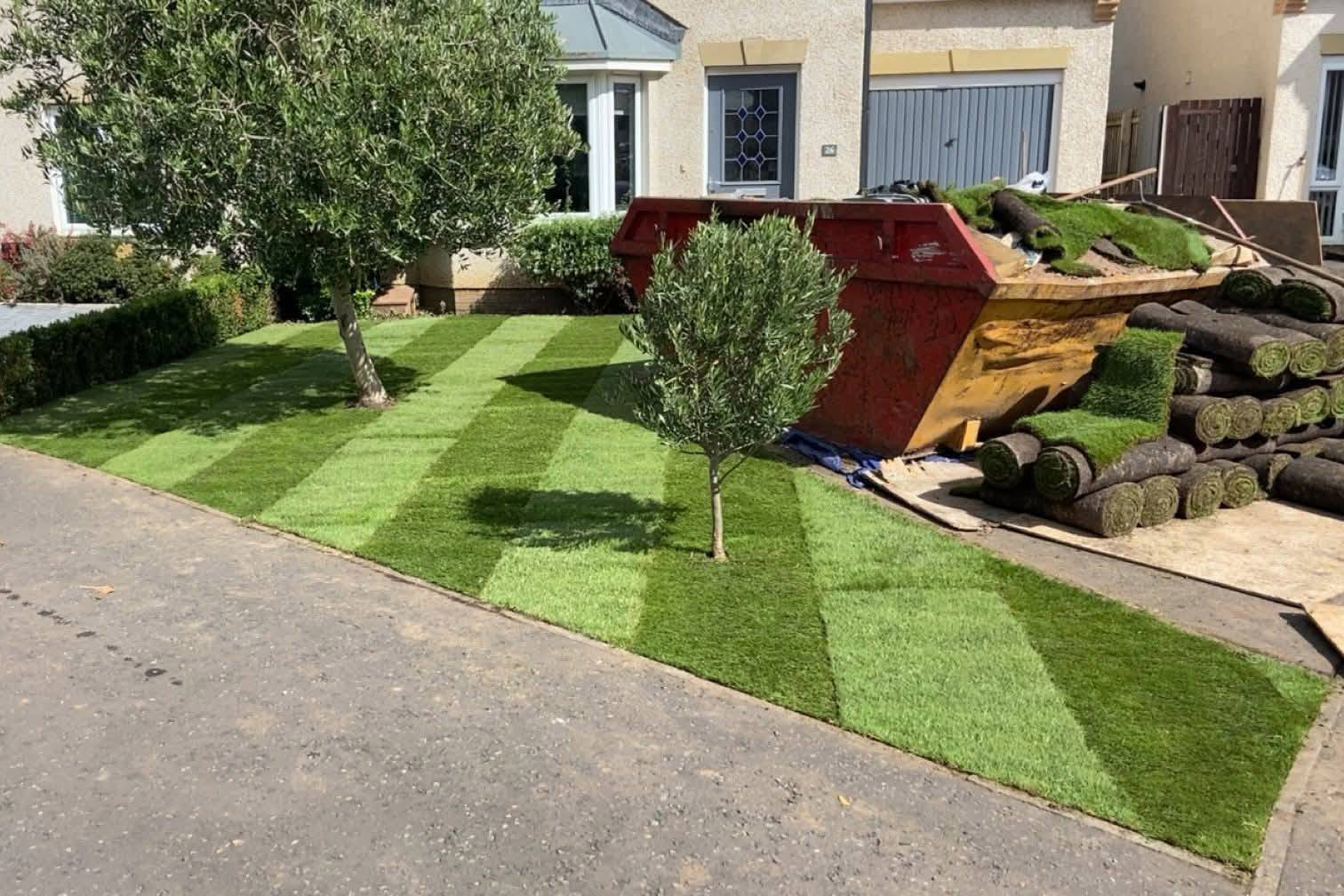 Freshly laid turf around a young tree
